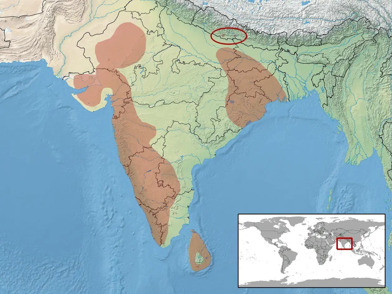 Boiga forsteni habitat map