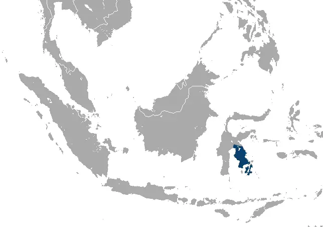 Macaca ochreata карта середовища проживання
