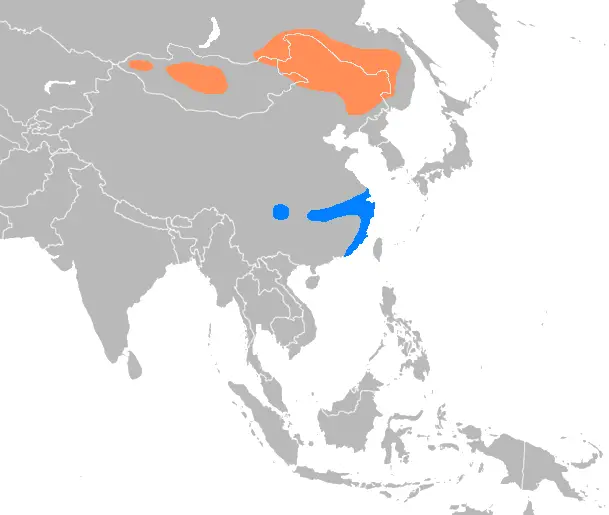 Гуска китайська карта середовища проживання