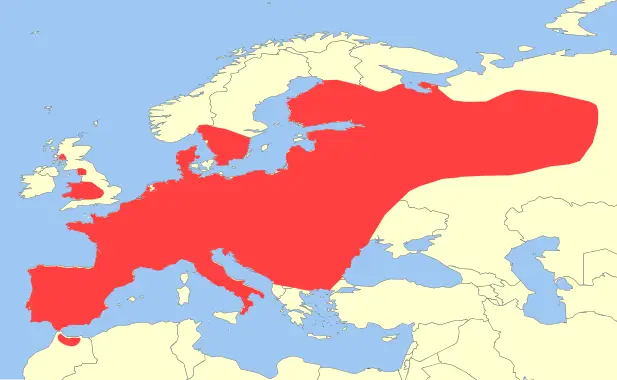 European Polecat habitat map