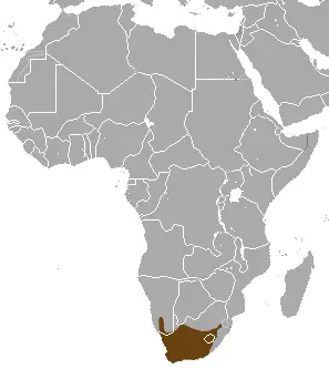 Cape gray mongoose habitat map
