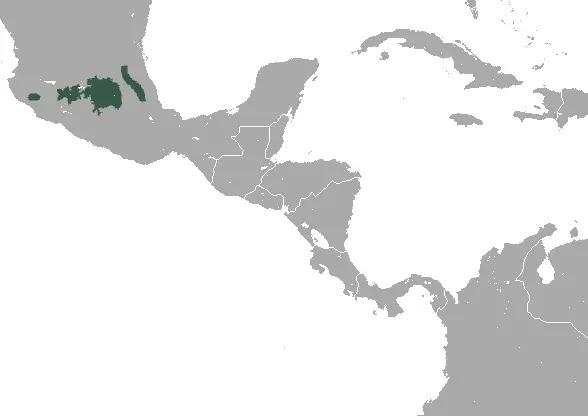 Central Mexican broad-clawed shrew habitat map