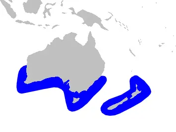 Ременезуб новозеландський карта середовища проживання