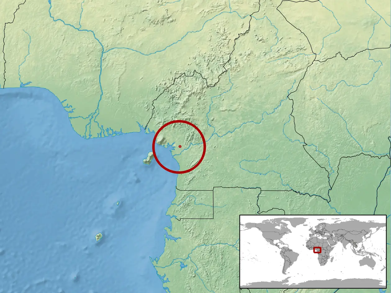 Cameroon worm lizard habitat map
