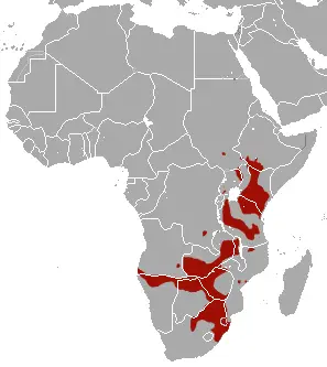 Зебра бурчеллова карта середовища проживання