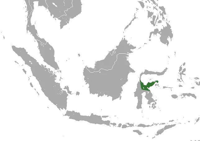 Dian's tarsier habitat map