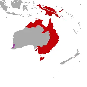 Sulphur-Crested Cockatoo habitat map