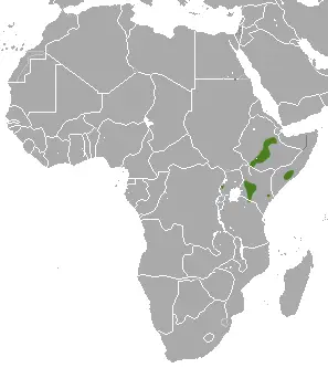 East African epauletted fruit bat habitat map