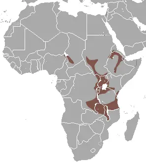 Epomophorus labiatus карта середовища проживання