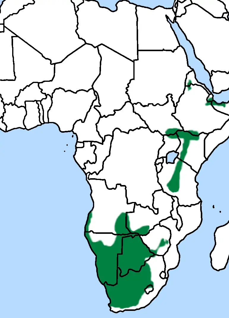 Greater kestrel habitat map