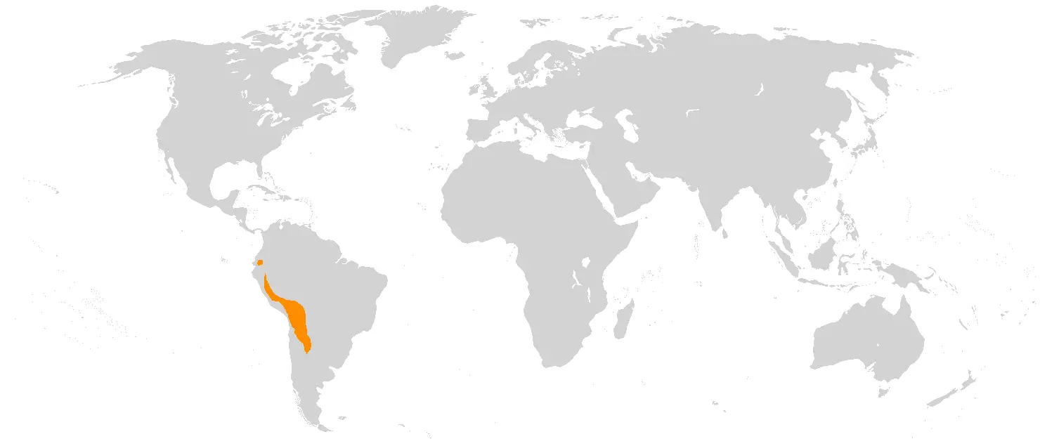 Лама  карта середовища проживання