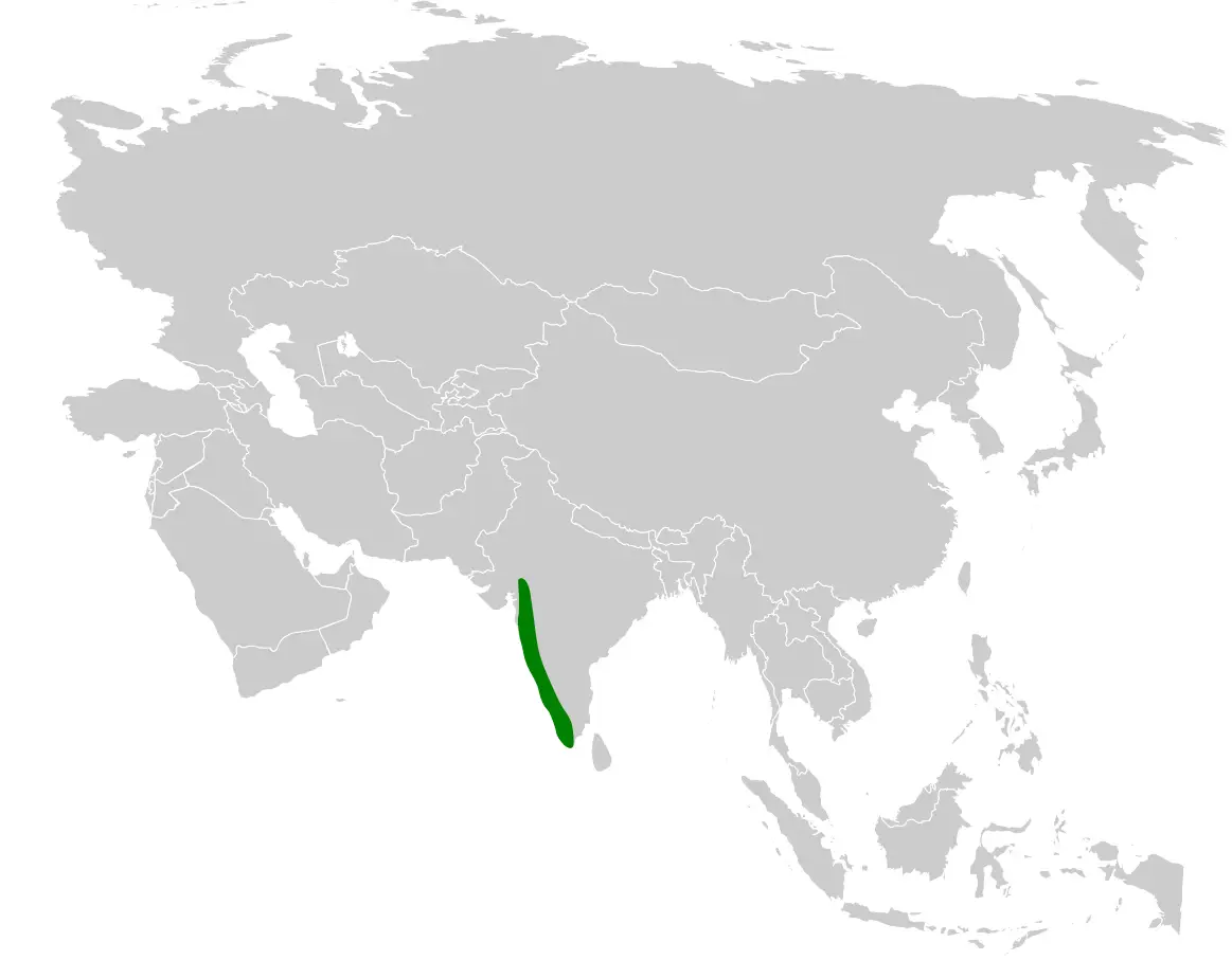 Malabar lark habitat map