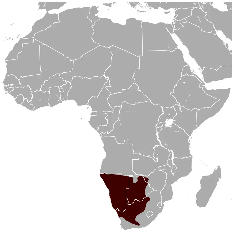 Orice gazzella mappa dell'habitat