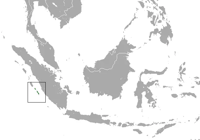 Tupaya de vientre dorado mapa del hábitat