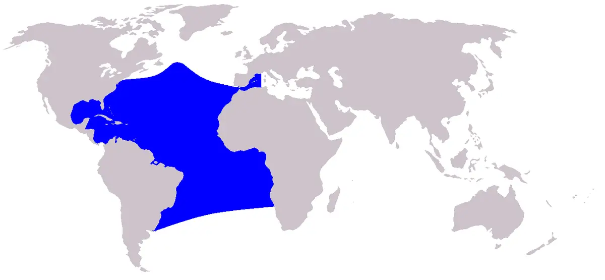 Atlantic Spotted Dolphin habitat map