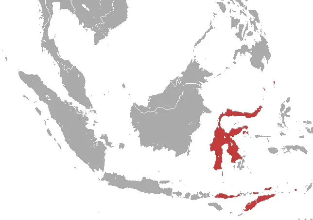 Pteropus griseus карта середовища проживання
