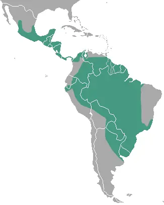 Lontra longicaudis карта середовища проживання