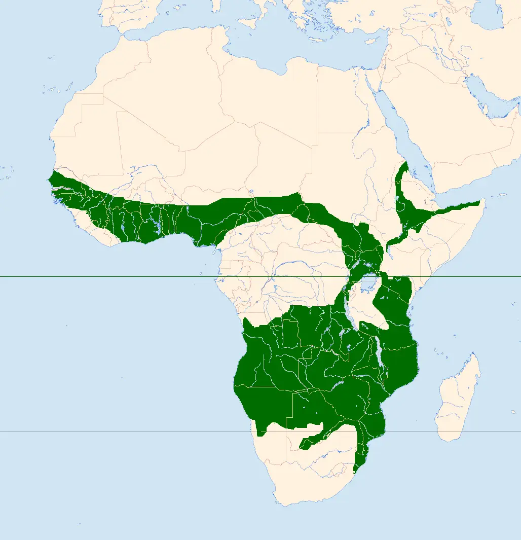African hawk-eagle habitat map