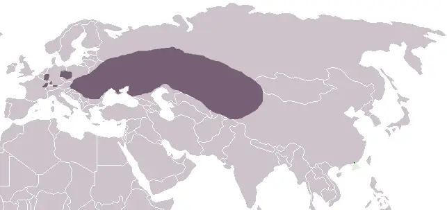 European Hamster habitat map