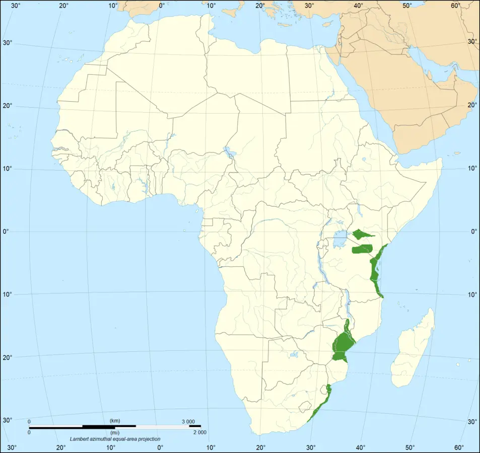 Eastern Green Mamba habitat map