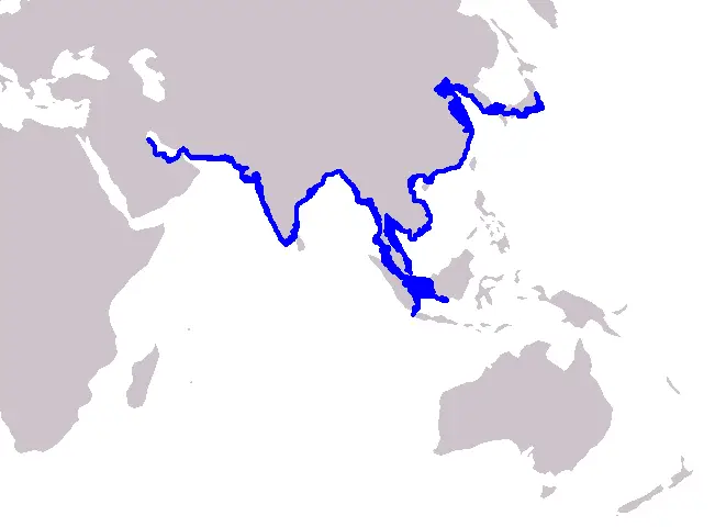 Finless Porpoise habitat map