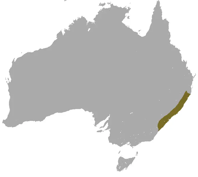 Brown Antechinus habitat map