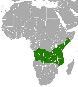 Yellow Baboon habitat map