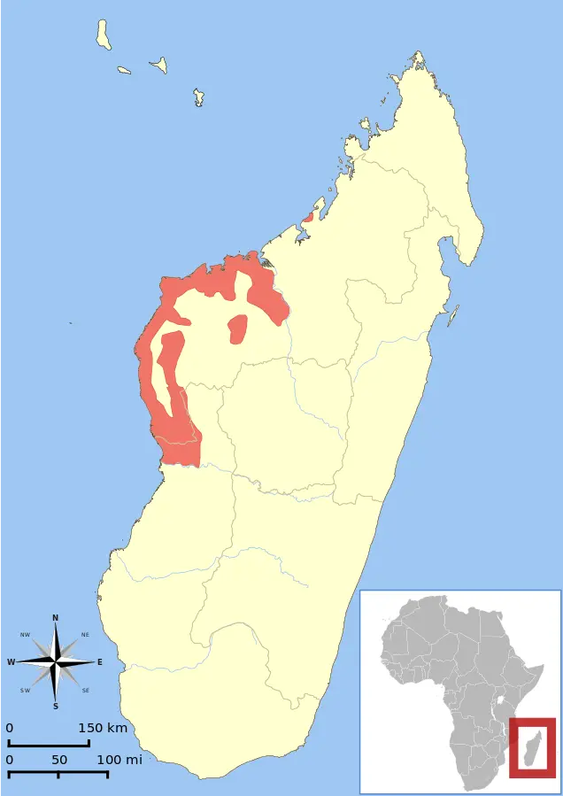 Lemure dalla fronte rossa mappa dell'habitat