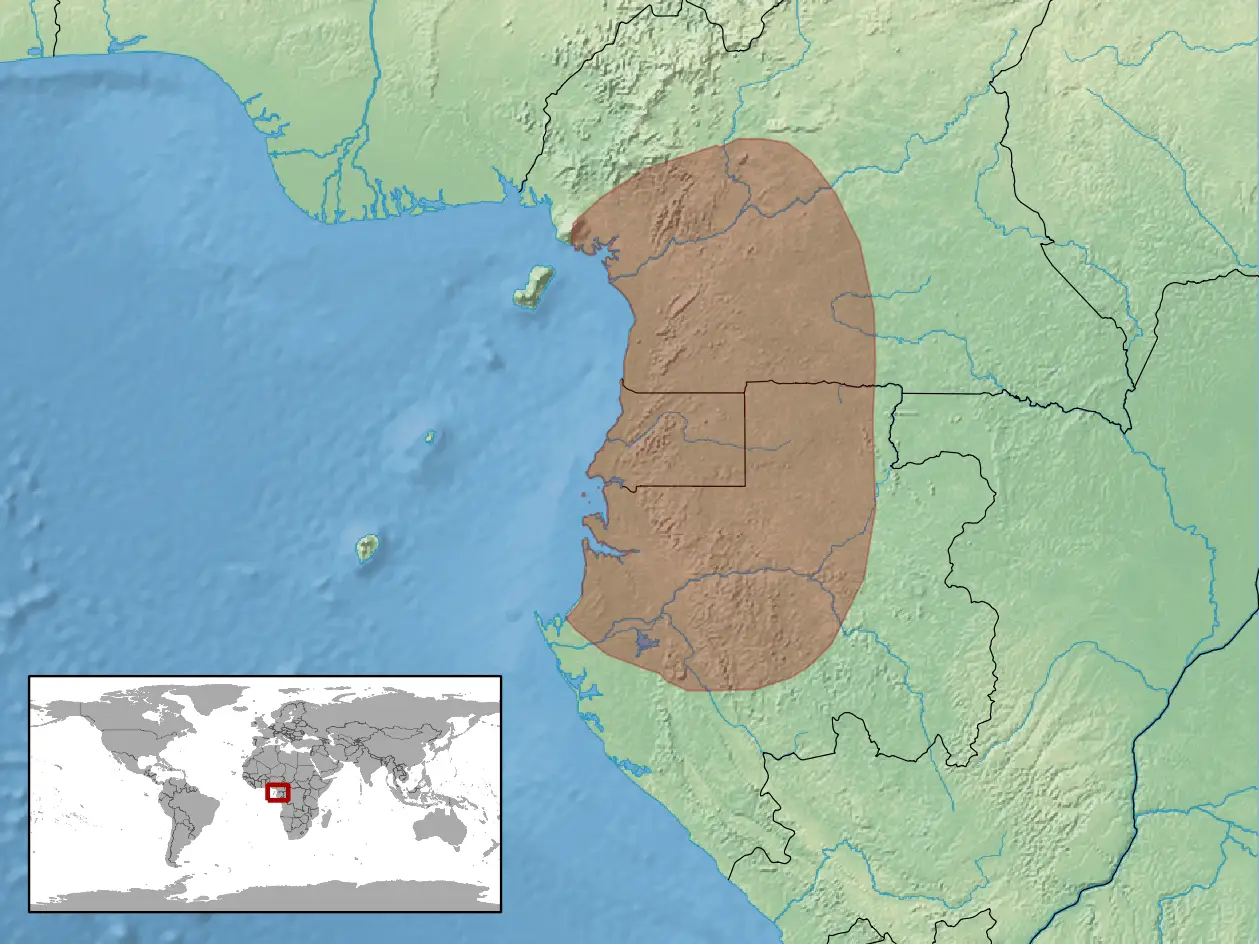 Gaboon worm lizard habitat map
