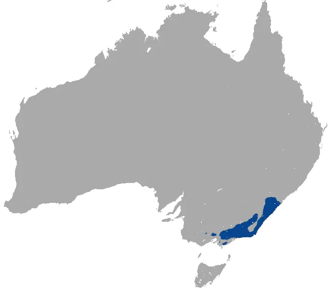 Mountain brushtail possum habitat map