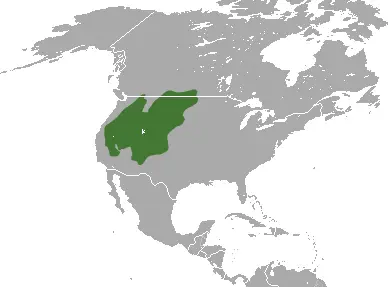 Mountain Cottontail habitat map