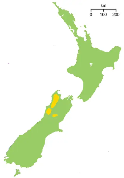 Great Spotted Kiwi habitat map