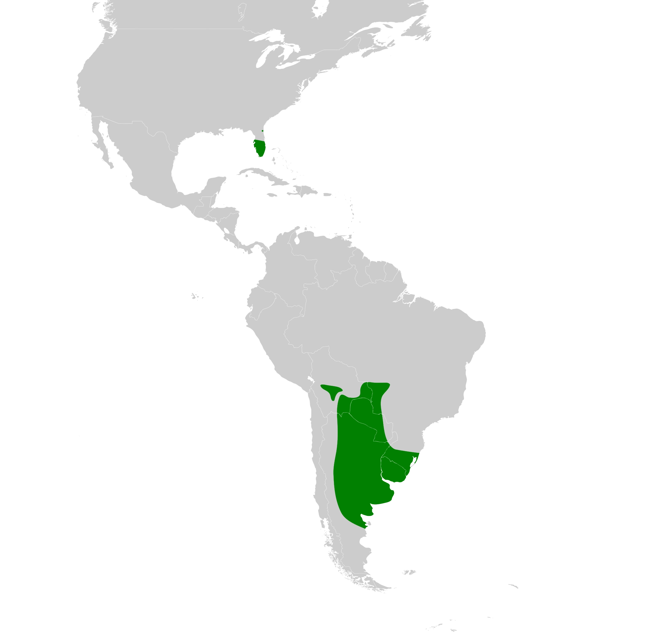 Monk Parakeet habitat map