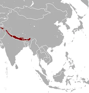 Himalayan Goral habitat map