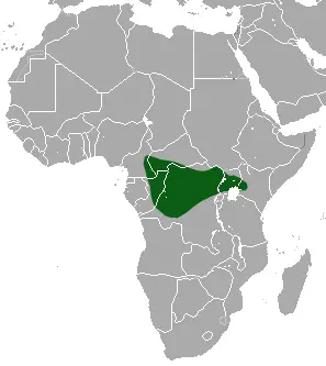Butiaba naked-tailed shrew habitat map