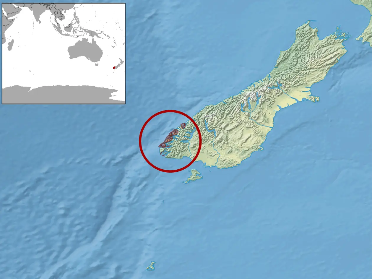 Fiordland skink habitat map