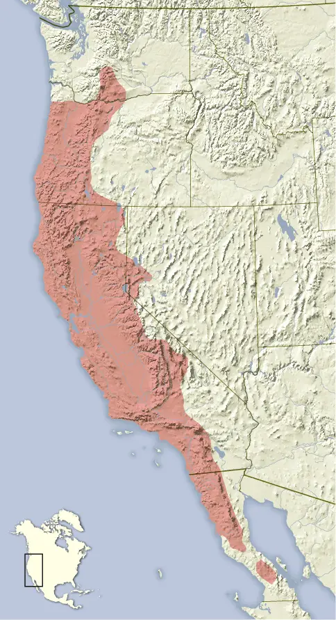 California Ground Squirrel habitat map