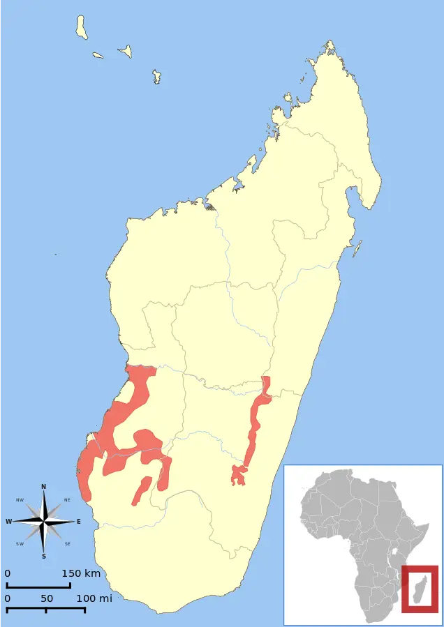 Lemure dalla fronte rossa mappa dell'habitat
