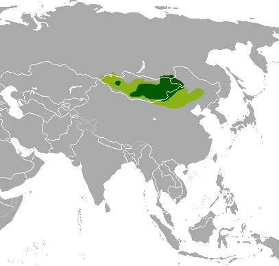 Mongolian gazelle habitat map