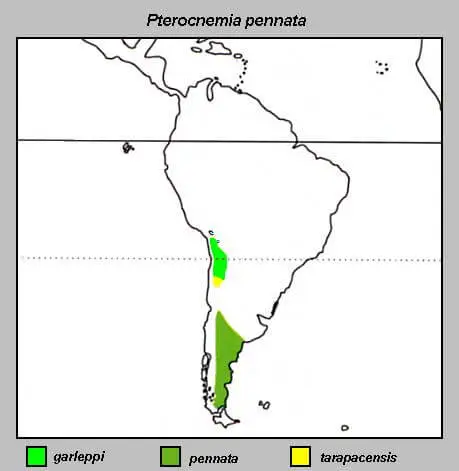 Darwin's rhea habitat map