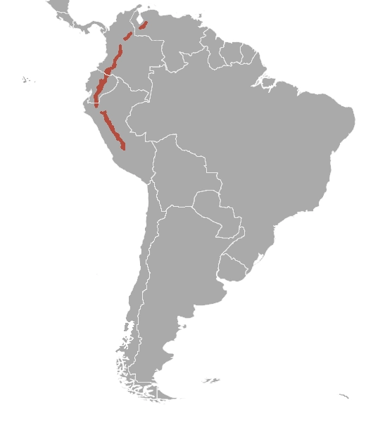 Northern pudu habitat map