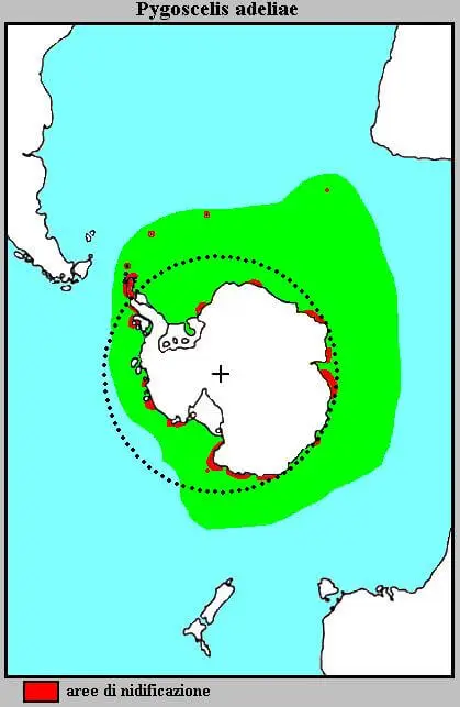 Пінгвін Аделі карта середовища проживання