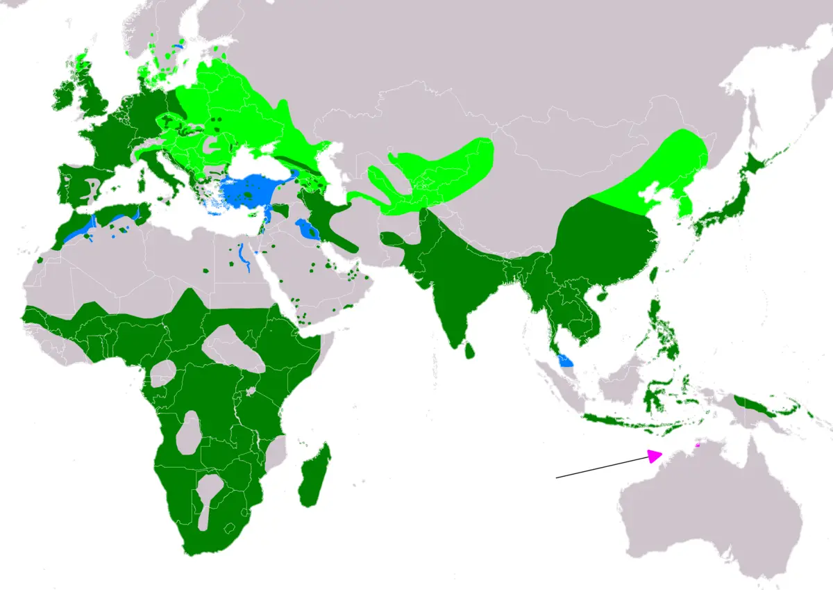 Пірникоза мала карта середовища проживання