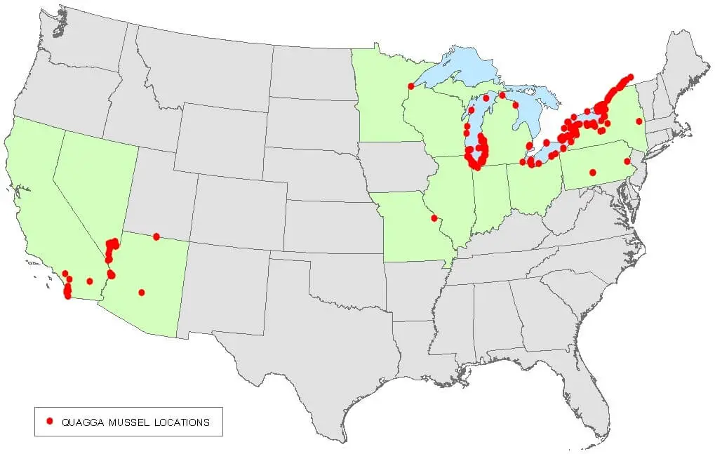 Quagga mussel habitat map