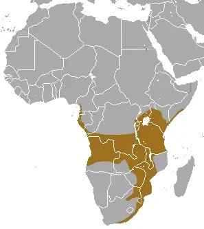Epomophorus wahlbergi carte des habitats
