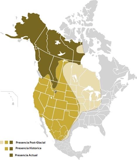 Grizzly Bear habitat map