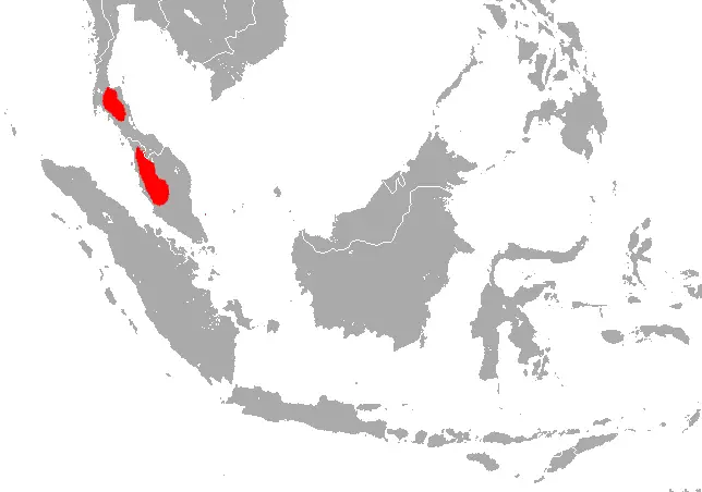Rhinolophus robinsoni карта середовища проживання