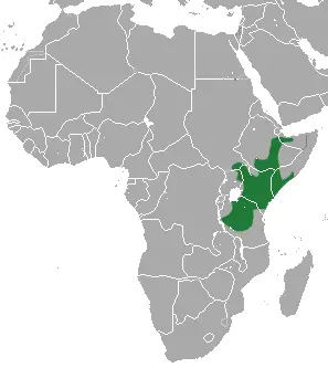 Rufous elephant shrew habitat map