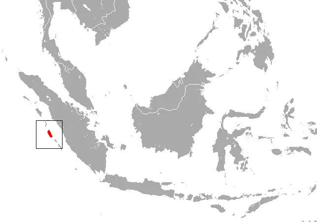 Macaca siberu карта середовища проживання