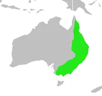 Pied currawong habitat map